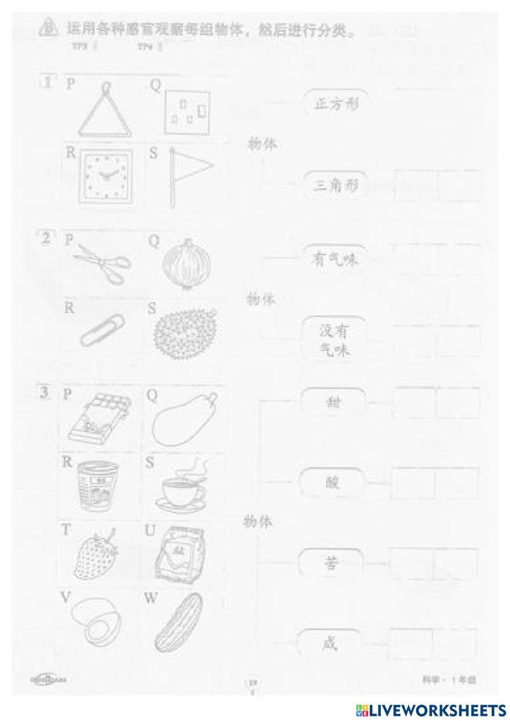 一年级科学练习 5 -6页