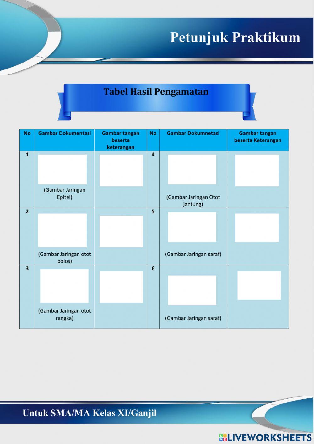 Petunjuk Praktikum Jaringan Hewan