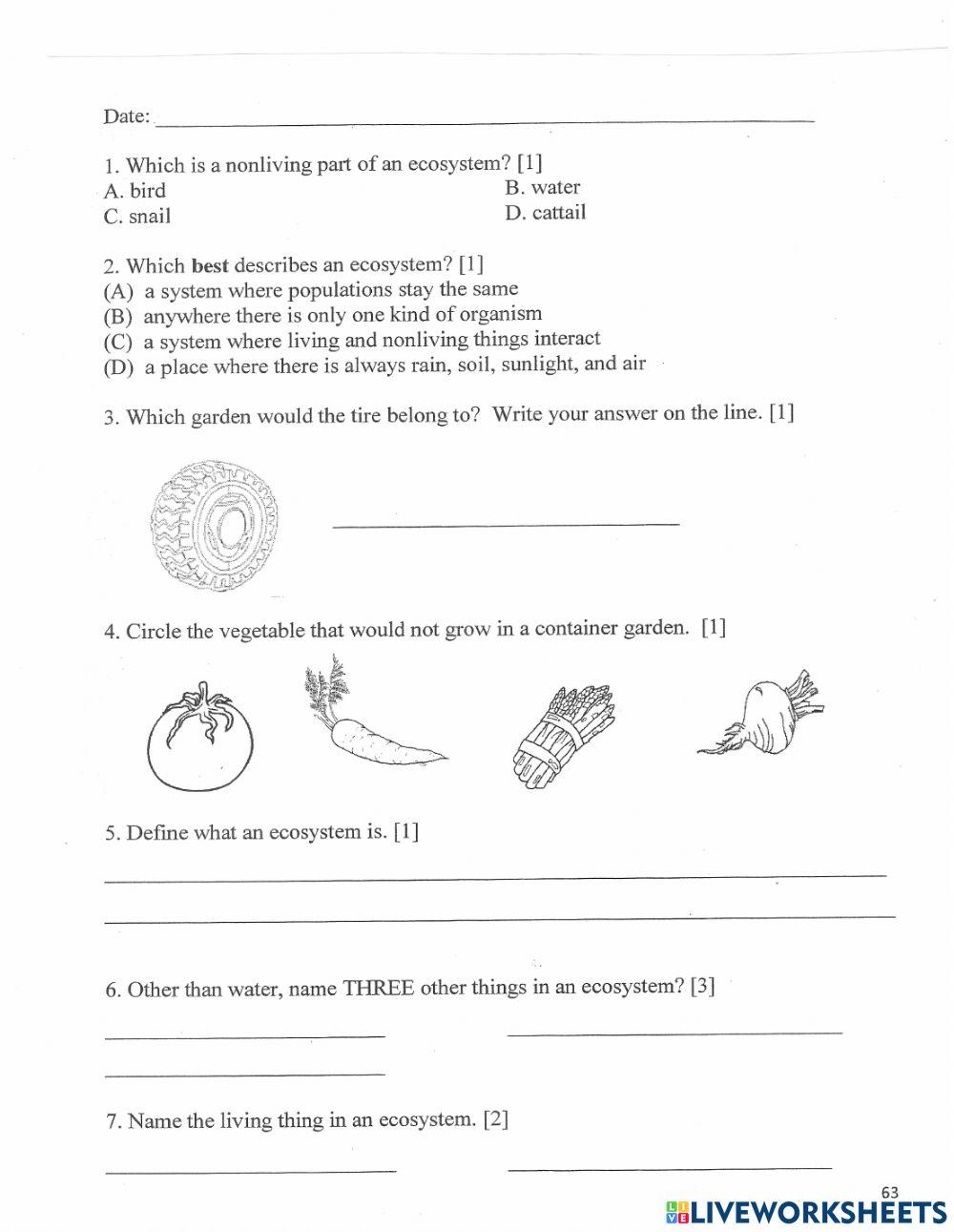 Ecosystems Worksheet