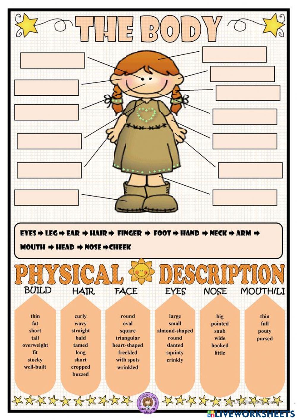 PHYSICAL DESCRIPTION - Parts of the body