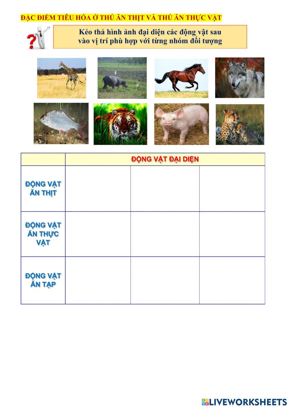 Chủ đề: Tiêu hóa ở động vật