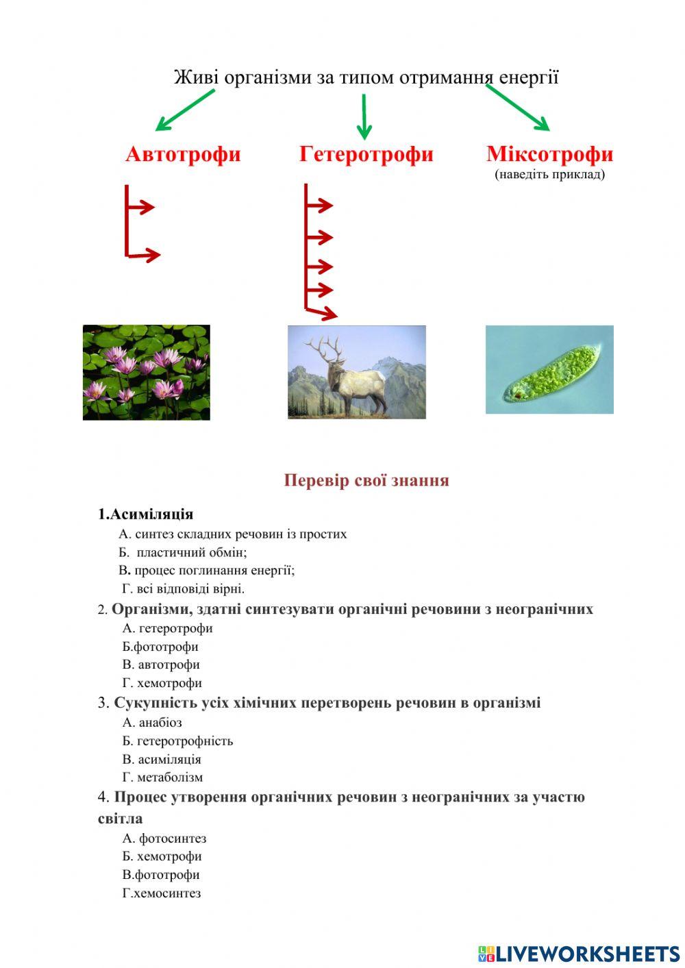 Обмін речовин та енергії