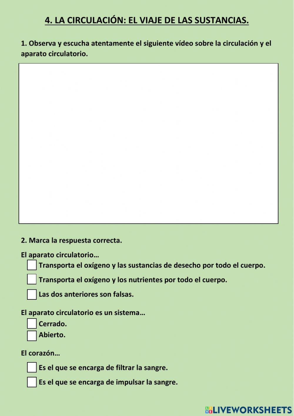 La circulación: el viaje de las sustancias.