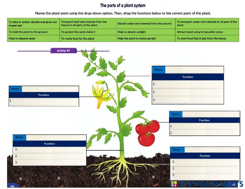 Plant System