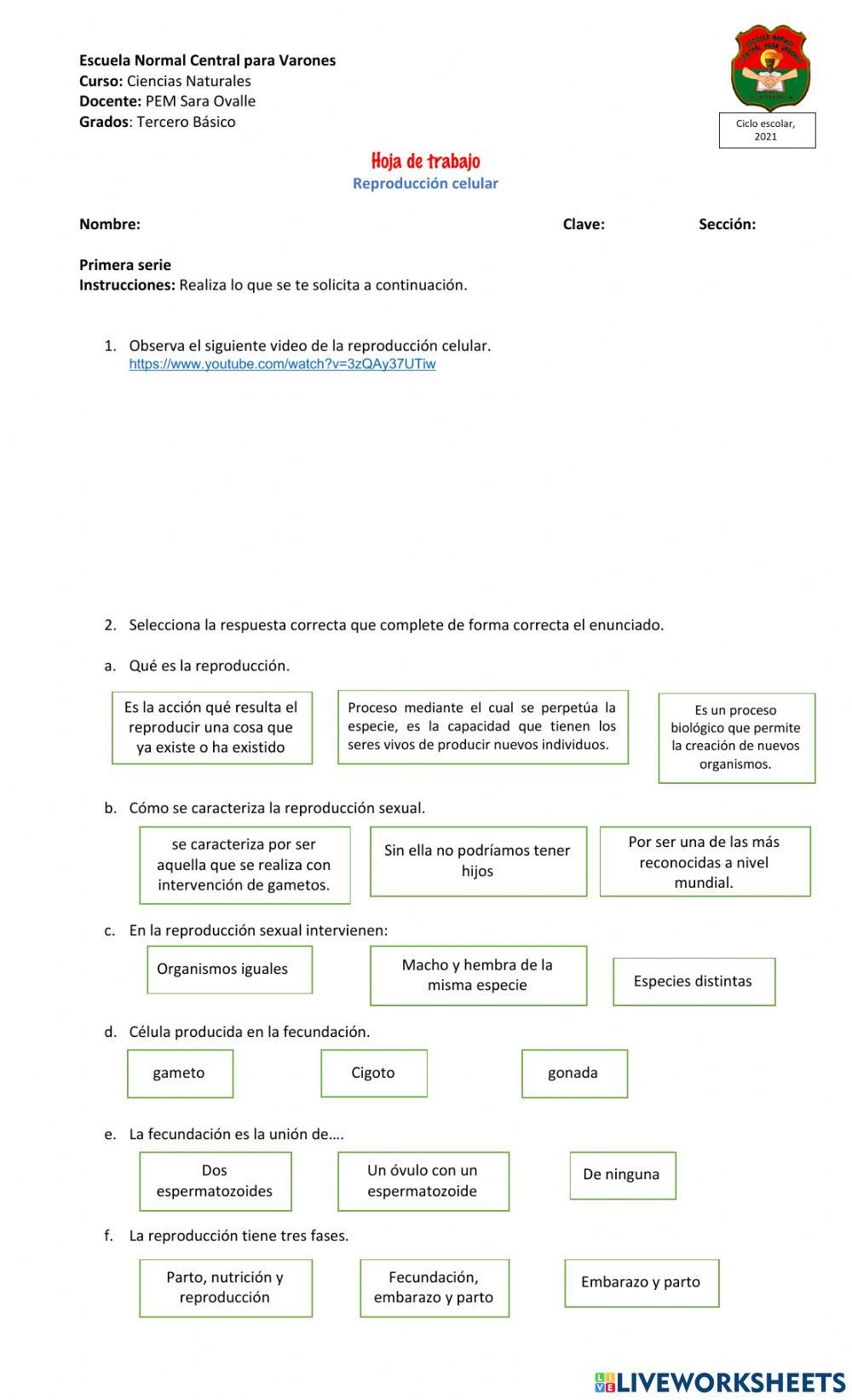 El único e incomparable Iván - HOJAS DE TRABAJO DE BONIFICACION – CLASSROOM  COMPLETE PRESS, image size:1000x1643