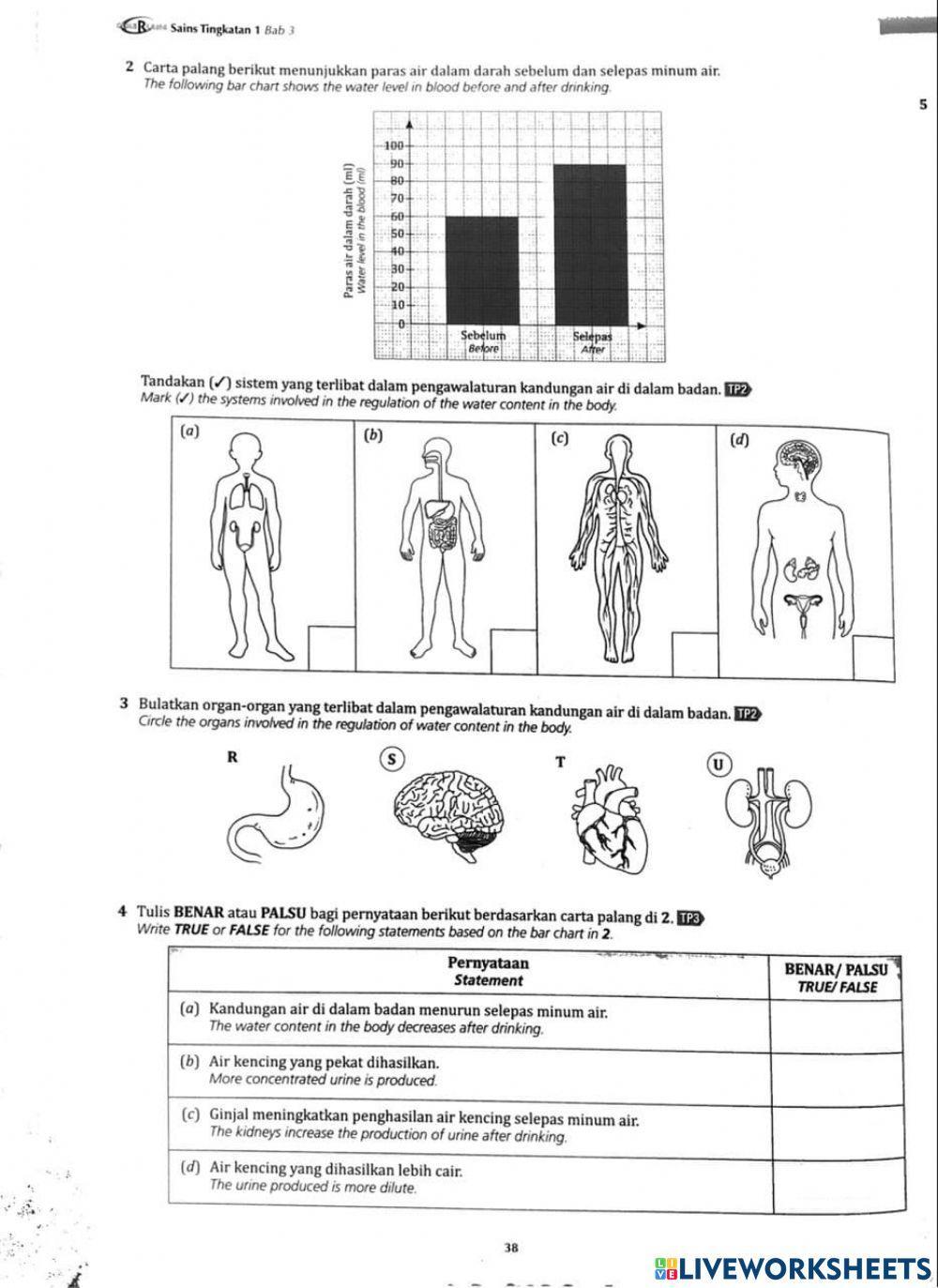 Homeostasis Homeostasis