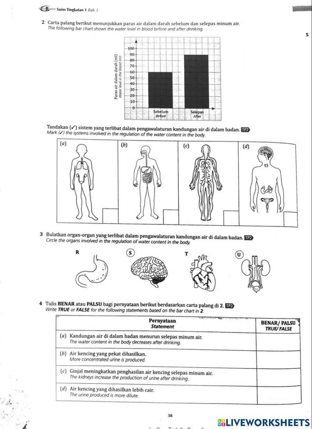 Homeostasis