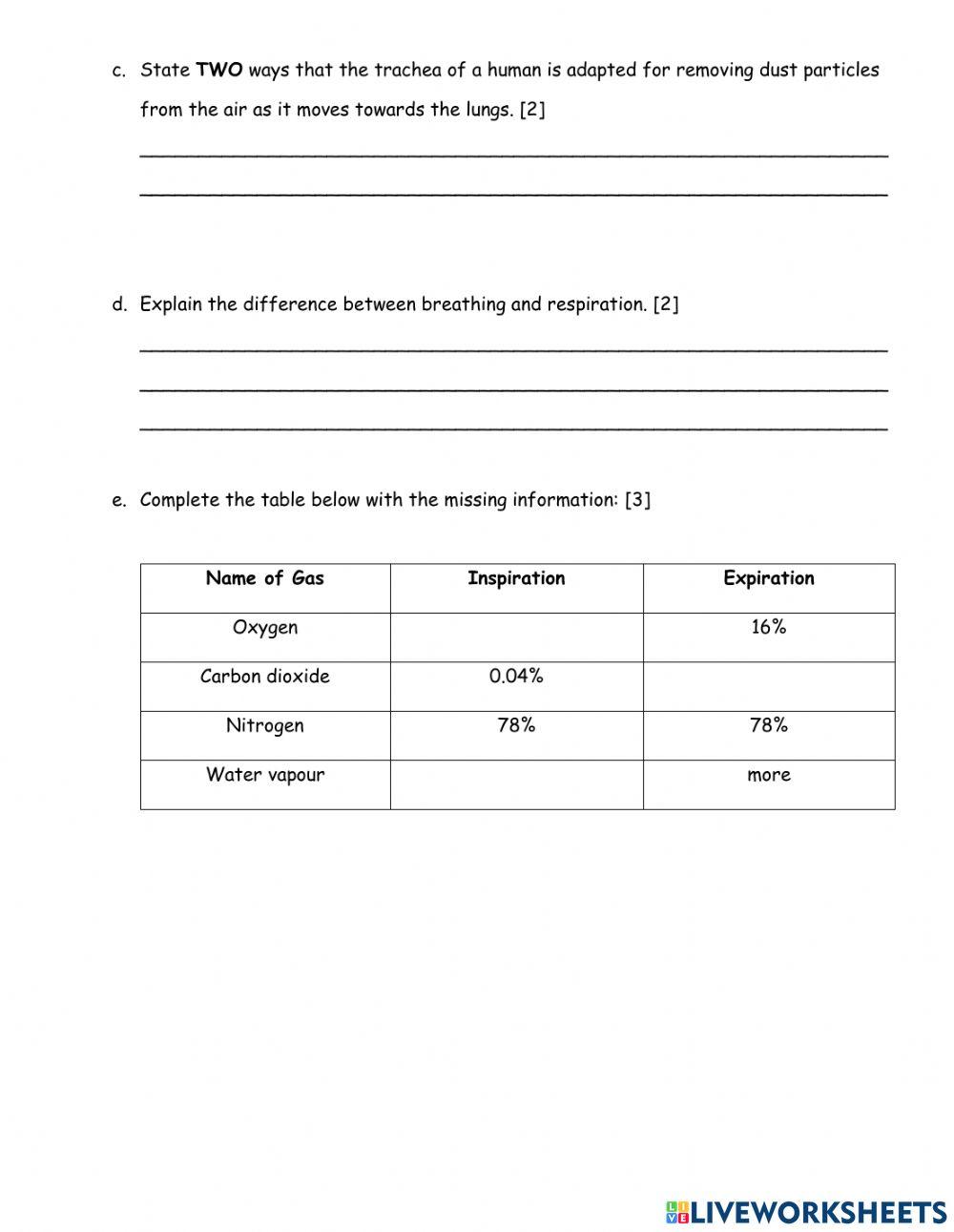 Mechanism of Breathing Worksheet