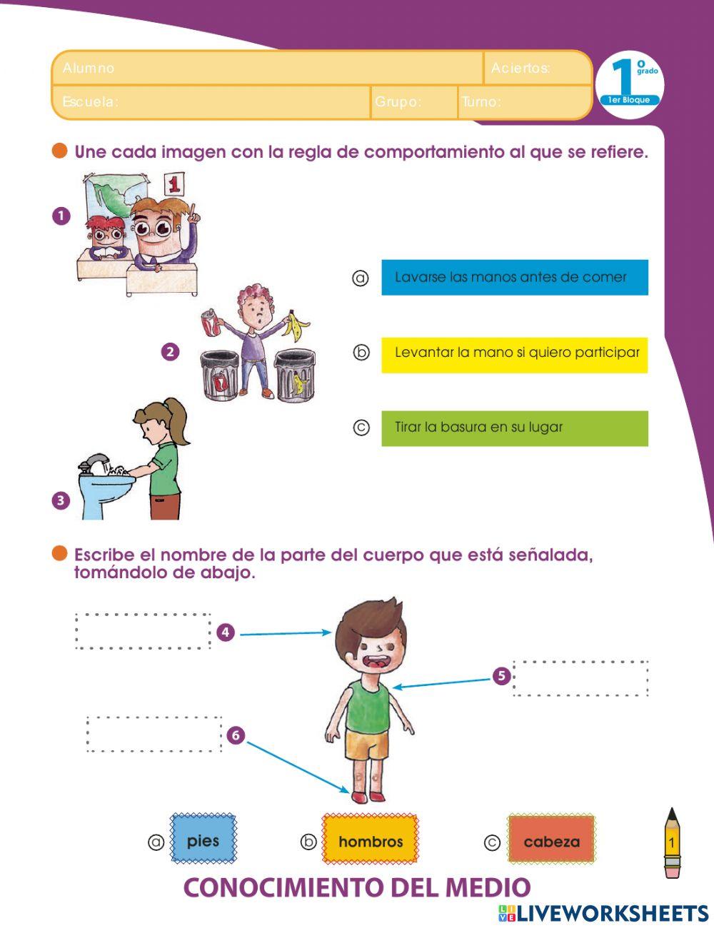 Examen trimestral de conocimiento del medio 1°a