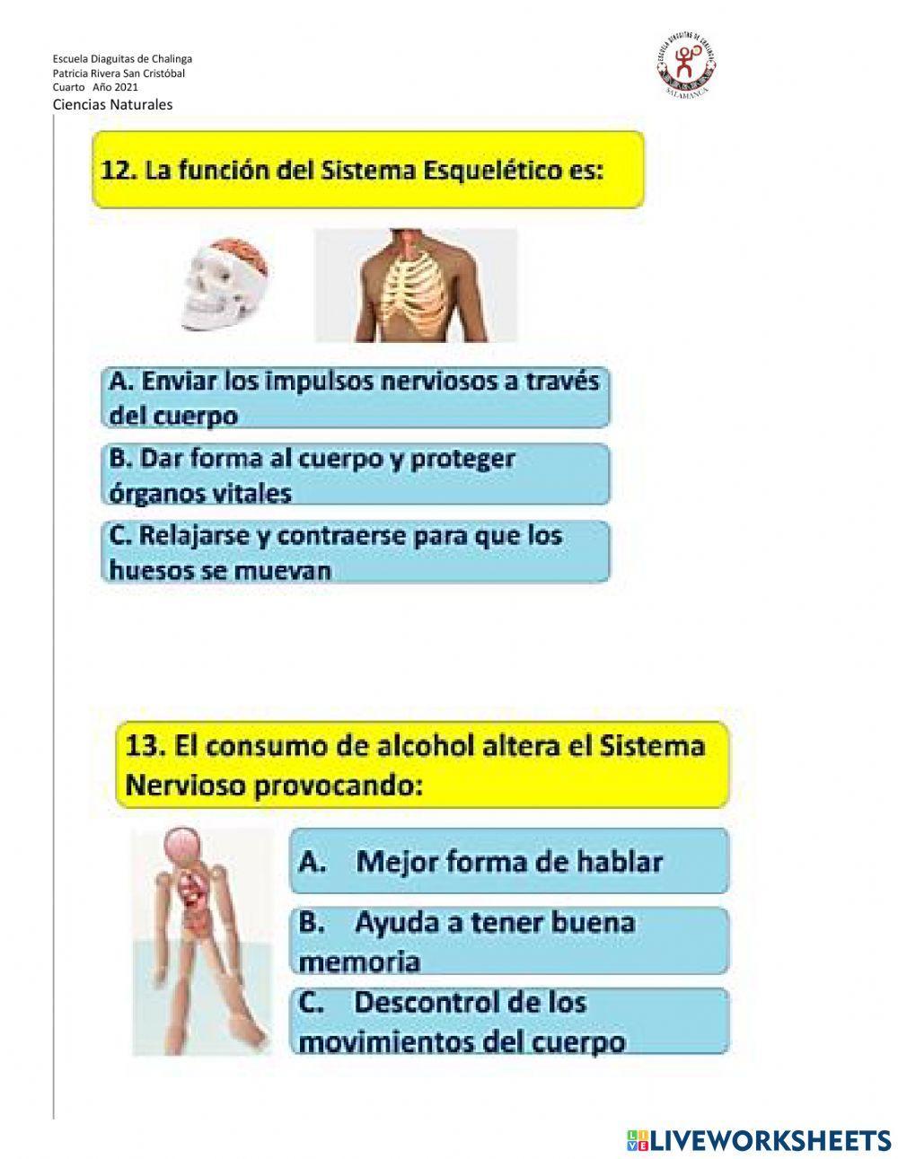 ¿Qué permite que mi cuerpo se mueva?