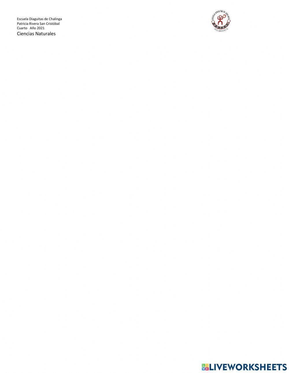 ¿Qué permite que mi cuerpo se mueva?