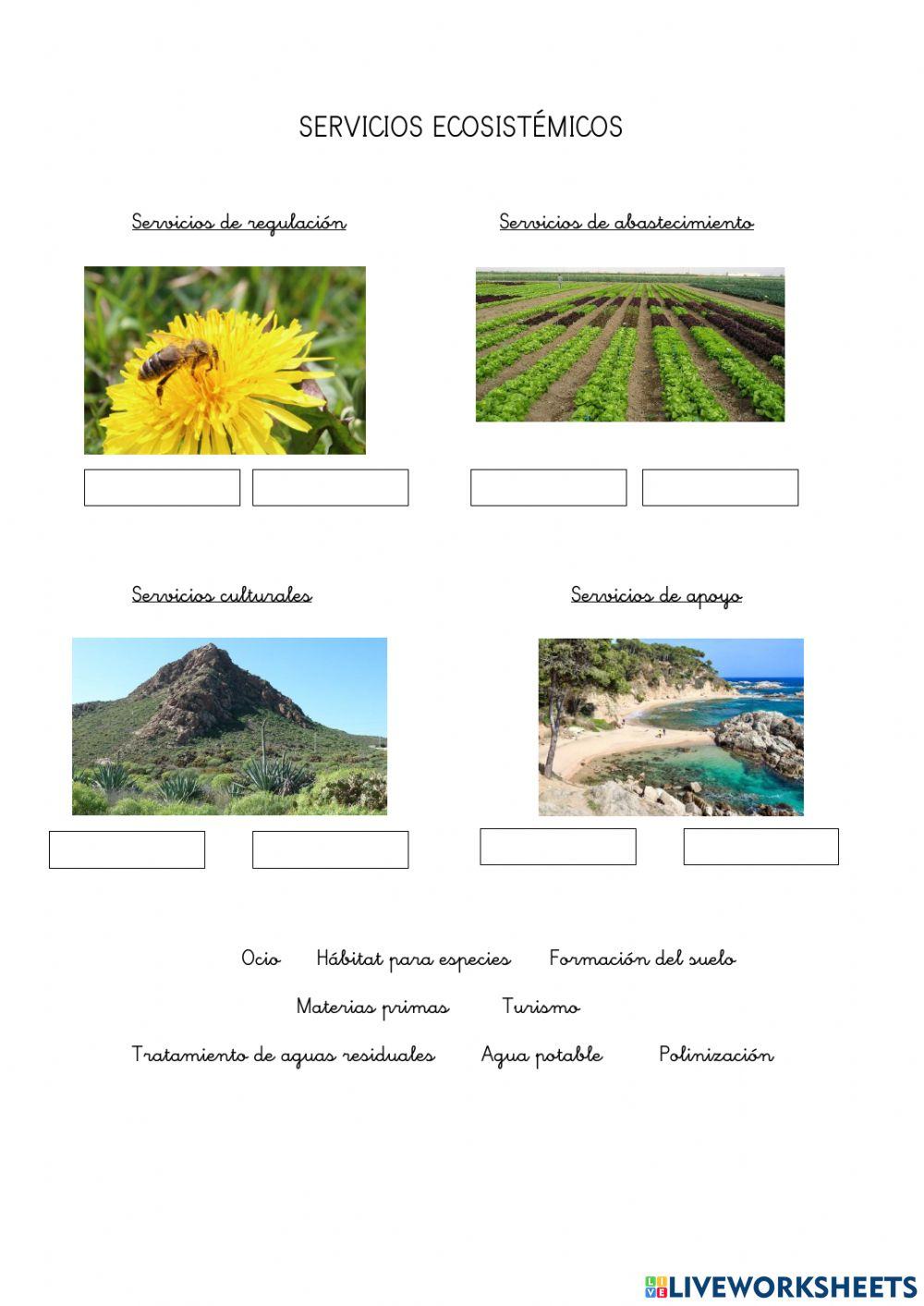 Servicios ecosistémicos