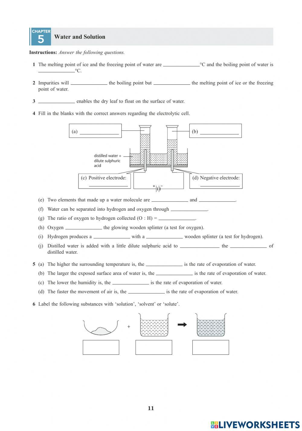 Science form 2 chapter 5 | LiveWorksheets | 1630073