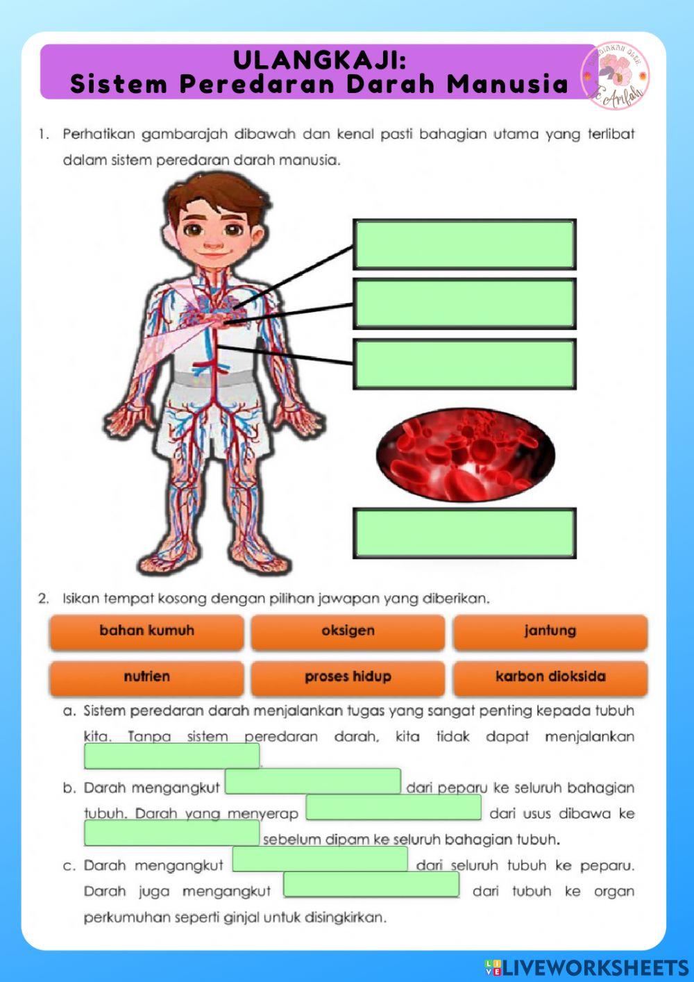 Sains modul 2: sistem peredaran darah