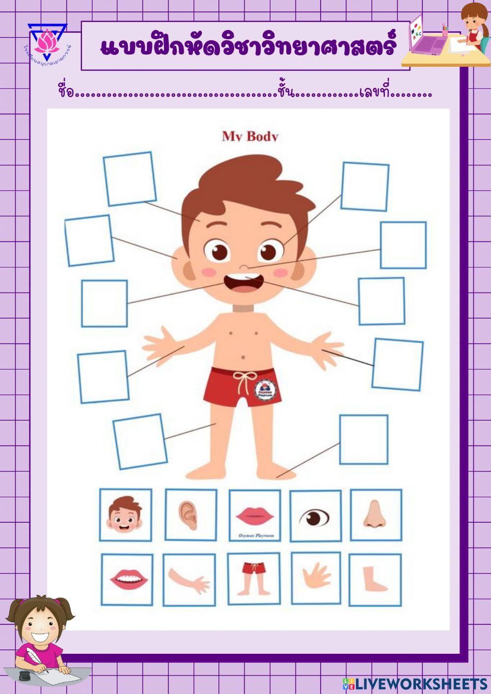 ร่างกายของฉัน