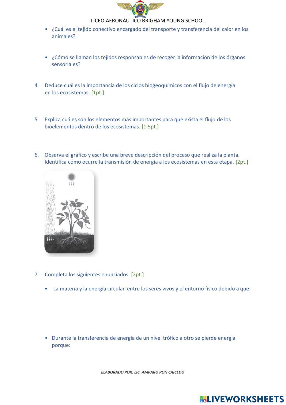 Prueba del 1er parcial