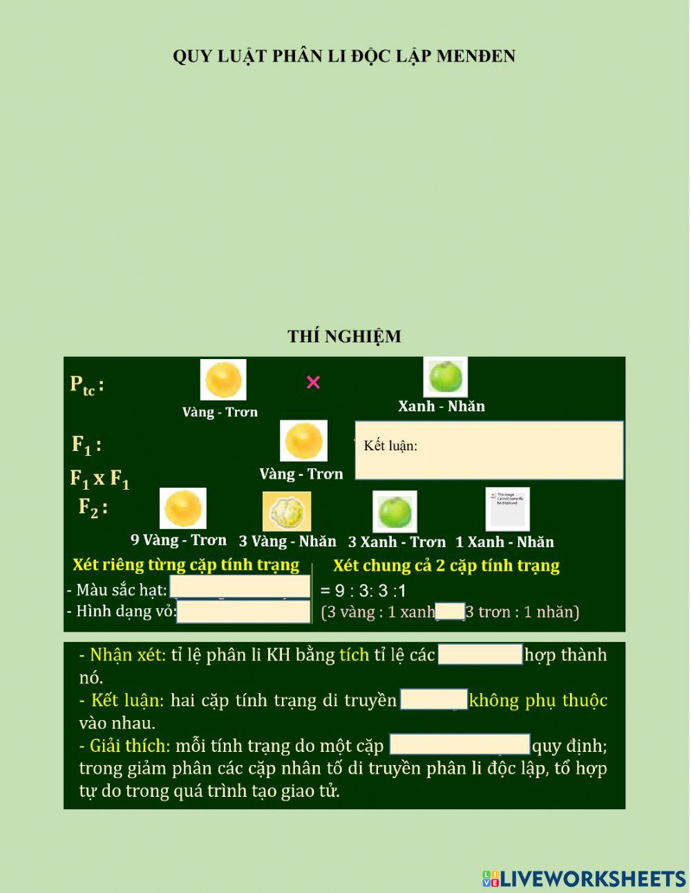 Pht bài 9 QUY LUẬT PHÂN LI ĐỘC LẬP