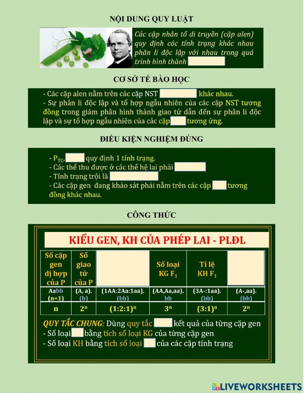 Pht bài 9 QUY LUẬT PHÂN LI ĐỘC LẬP