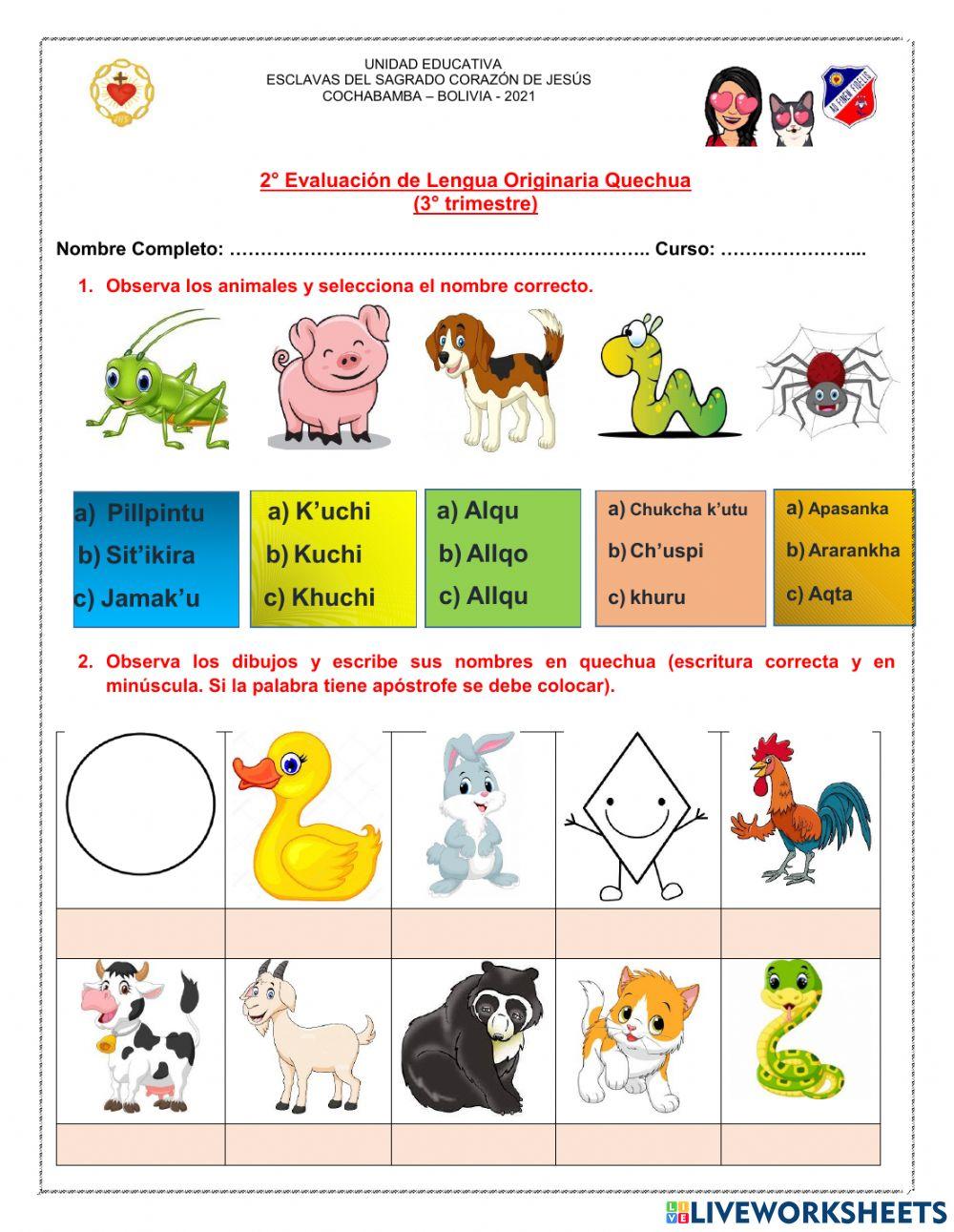Evaluación animales y figuras geométricas worksheet | Live Worksheets