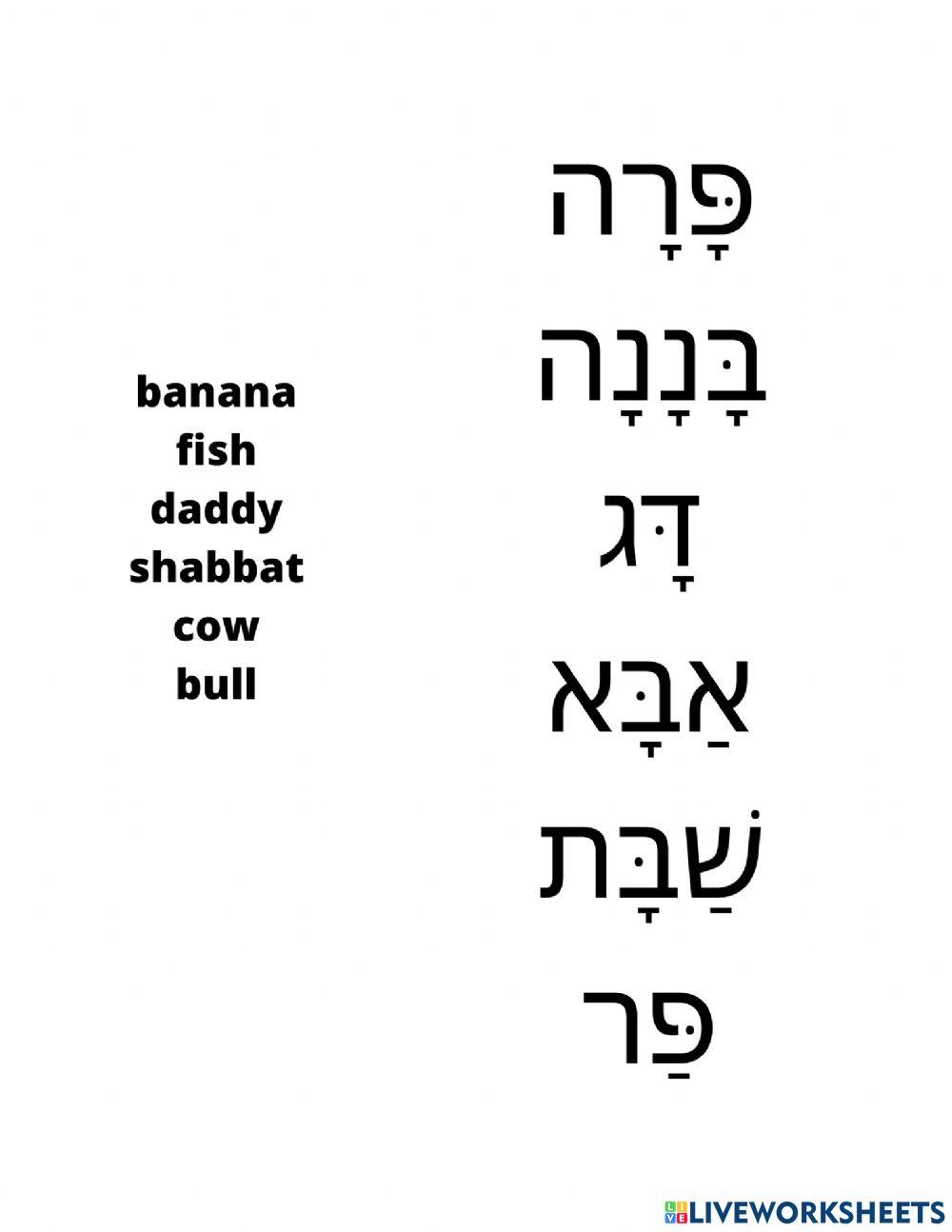 Hebrew Vocab worksheet | Live Worksheets