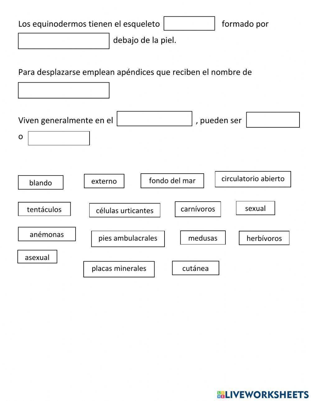 Los cnidarios y equinodermos