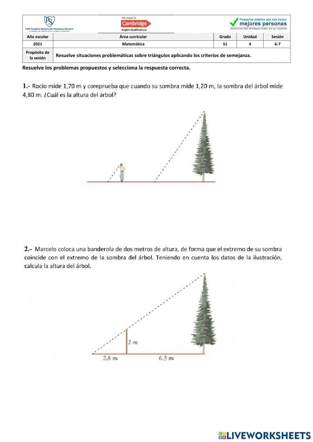 Semejanza de triángulos