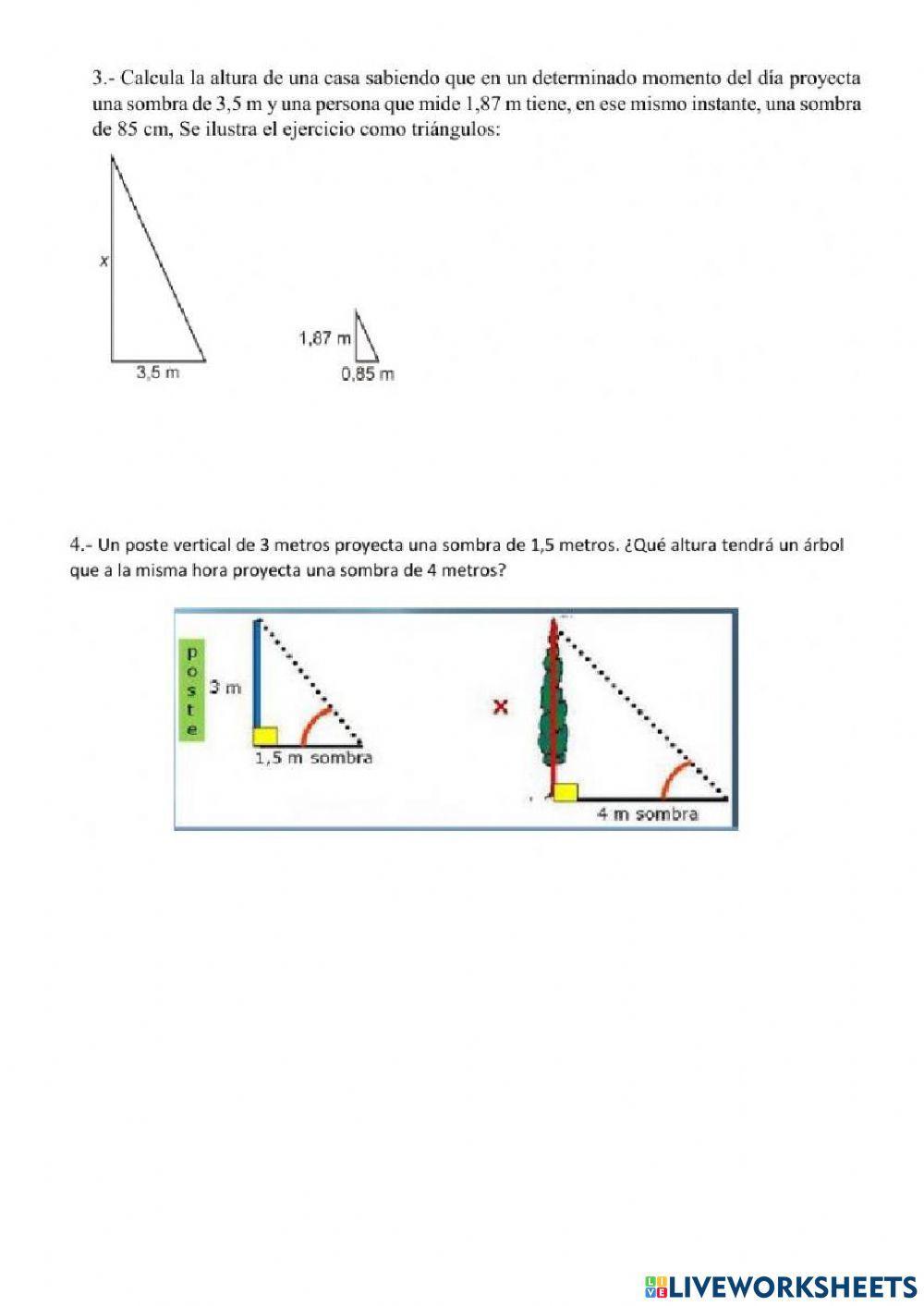 Semejanza de triángulos