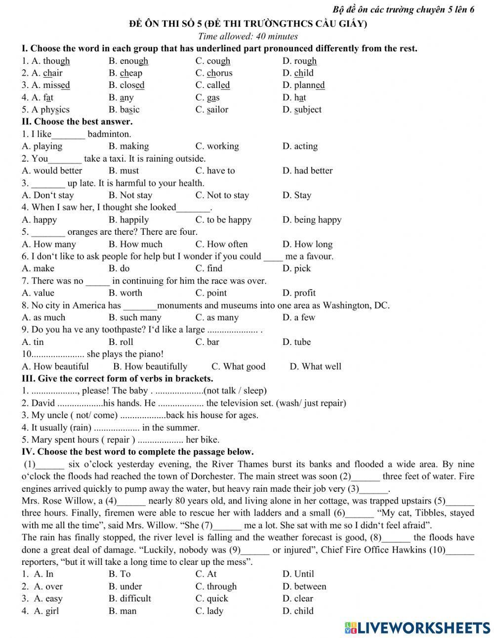 Đề ôn thi lớp 6