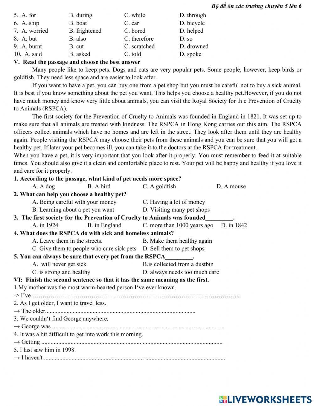 Đề ôn thi lớp 6