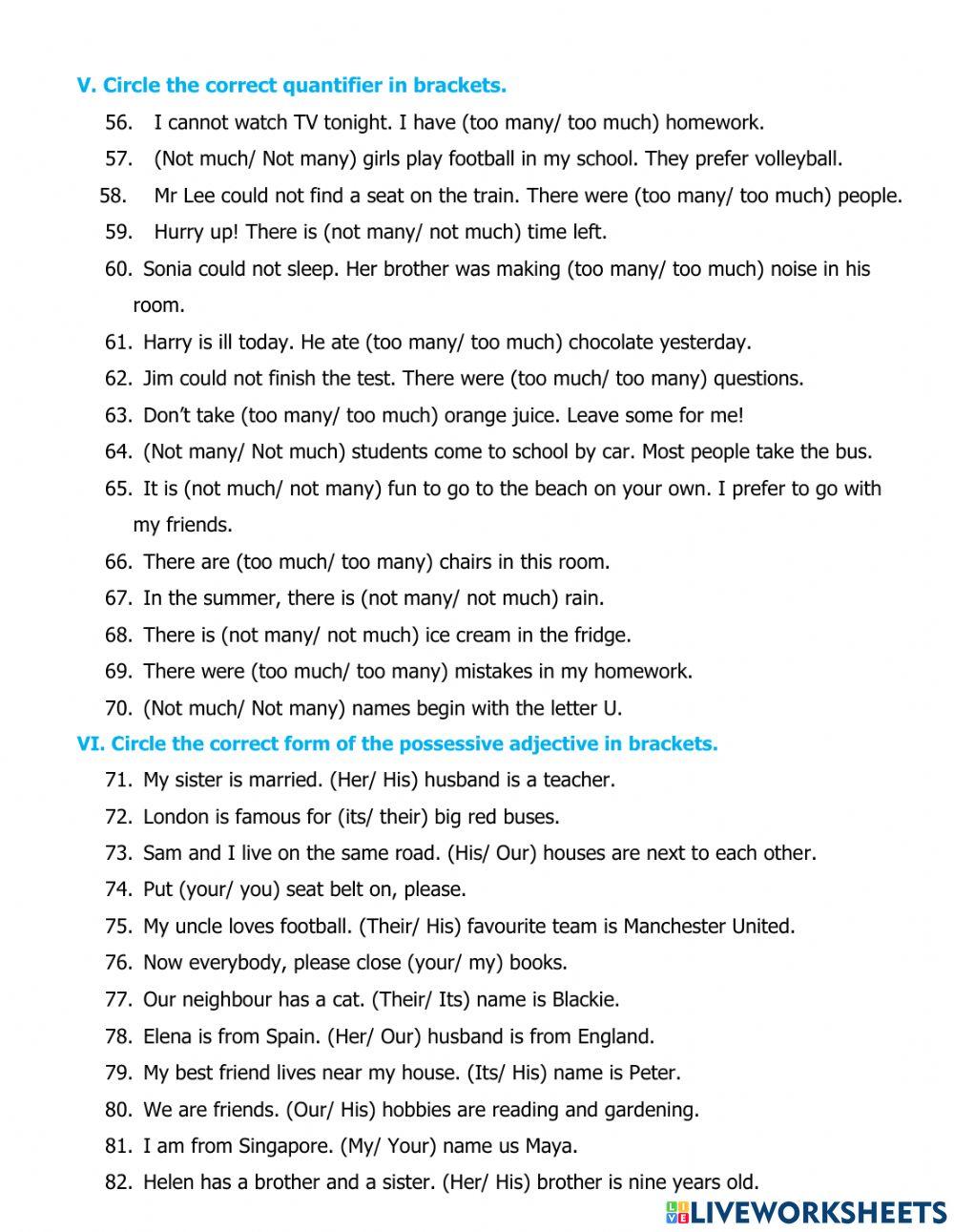 Nouns - Much - Many - A - An - The