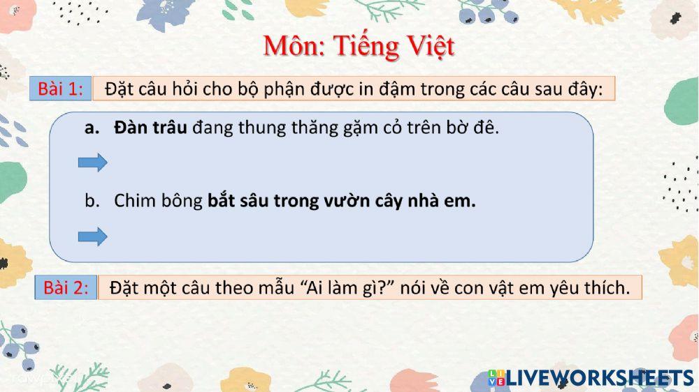 Phiếu ôn tập tuần 8