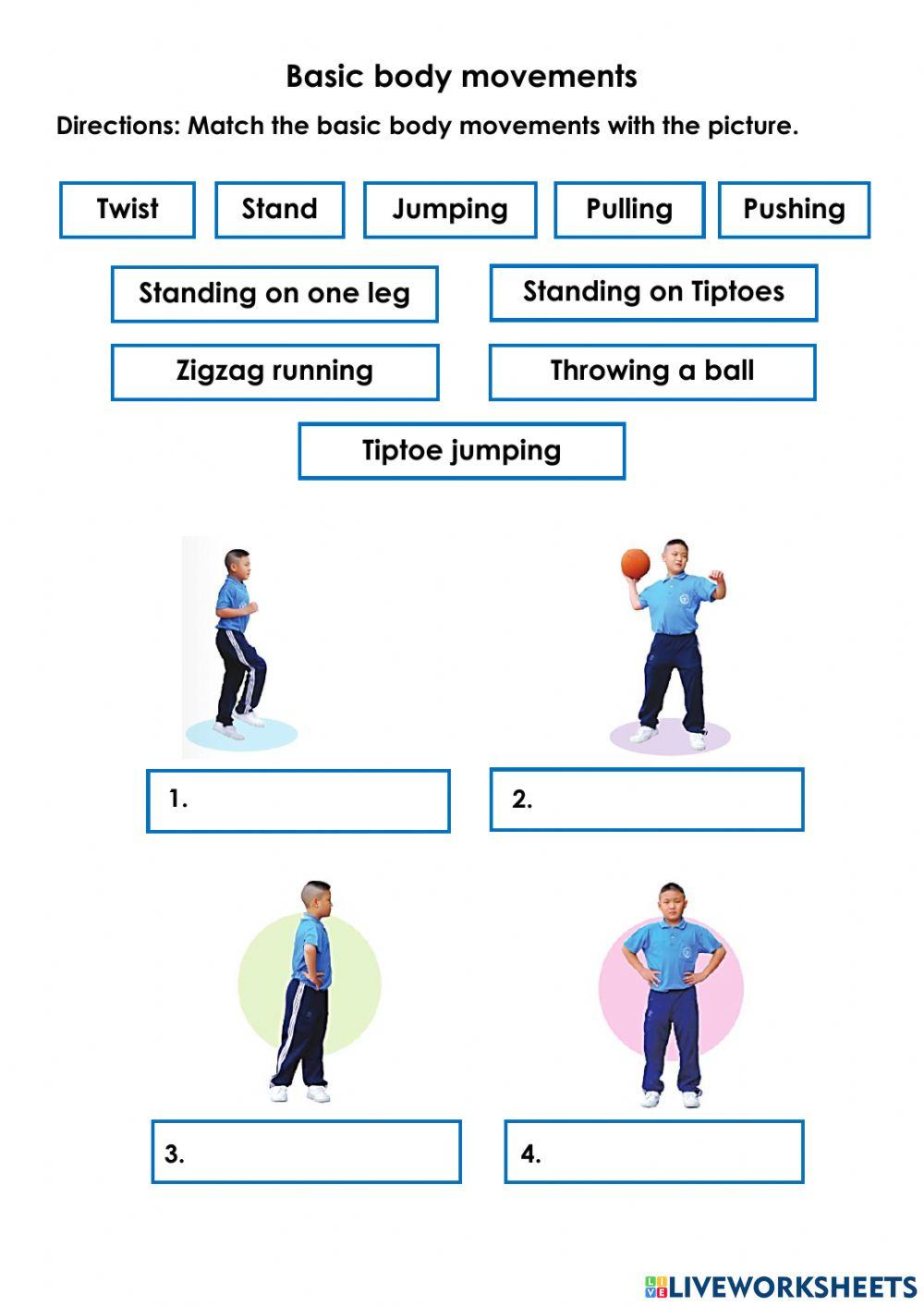 Basic body movements