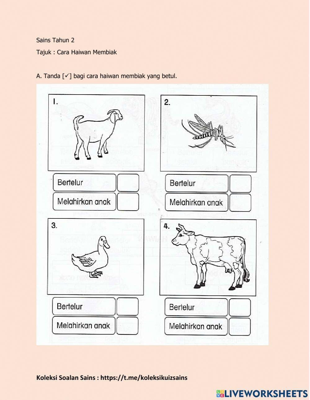 Sains Tahun 2 - Cara Haiwan Membiak