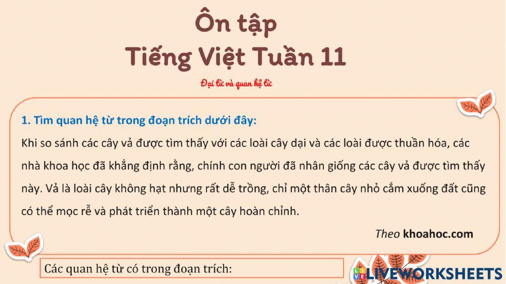 Ôn tập Tiếng Việt Tuần 11