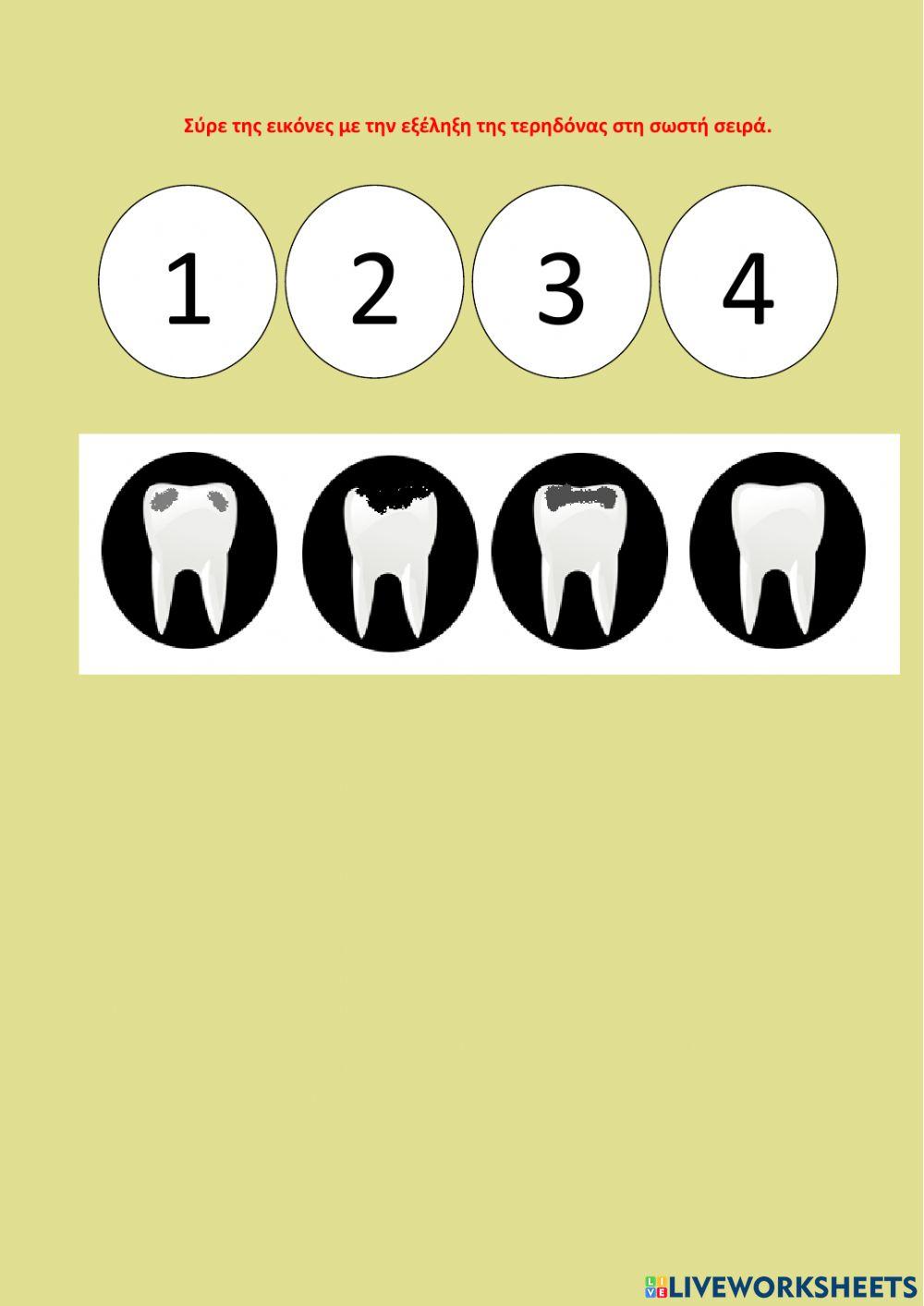 Διατροφή και στοματική υγιεινή