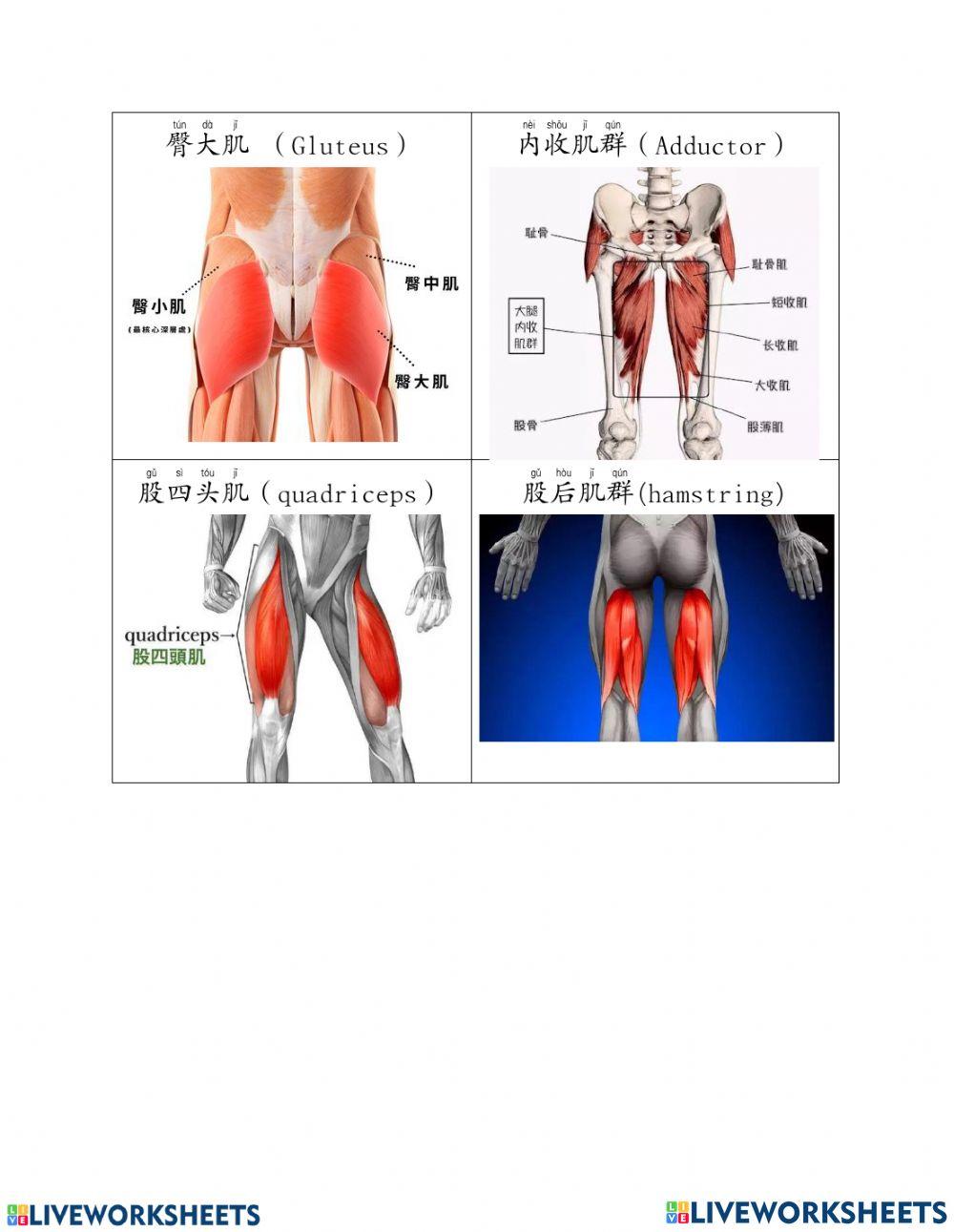 6年级体育 单元8