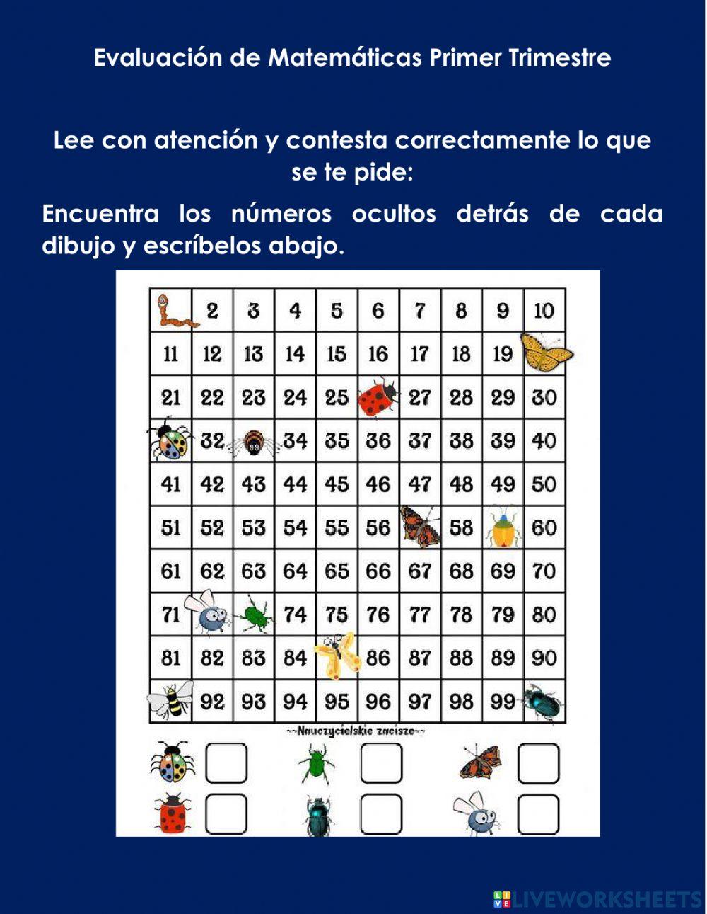 Evaluación Matemáticas