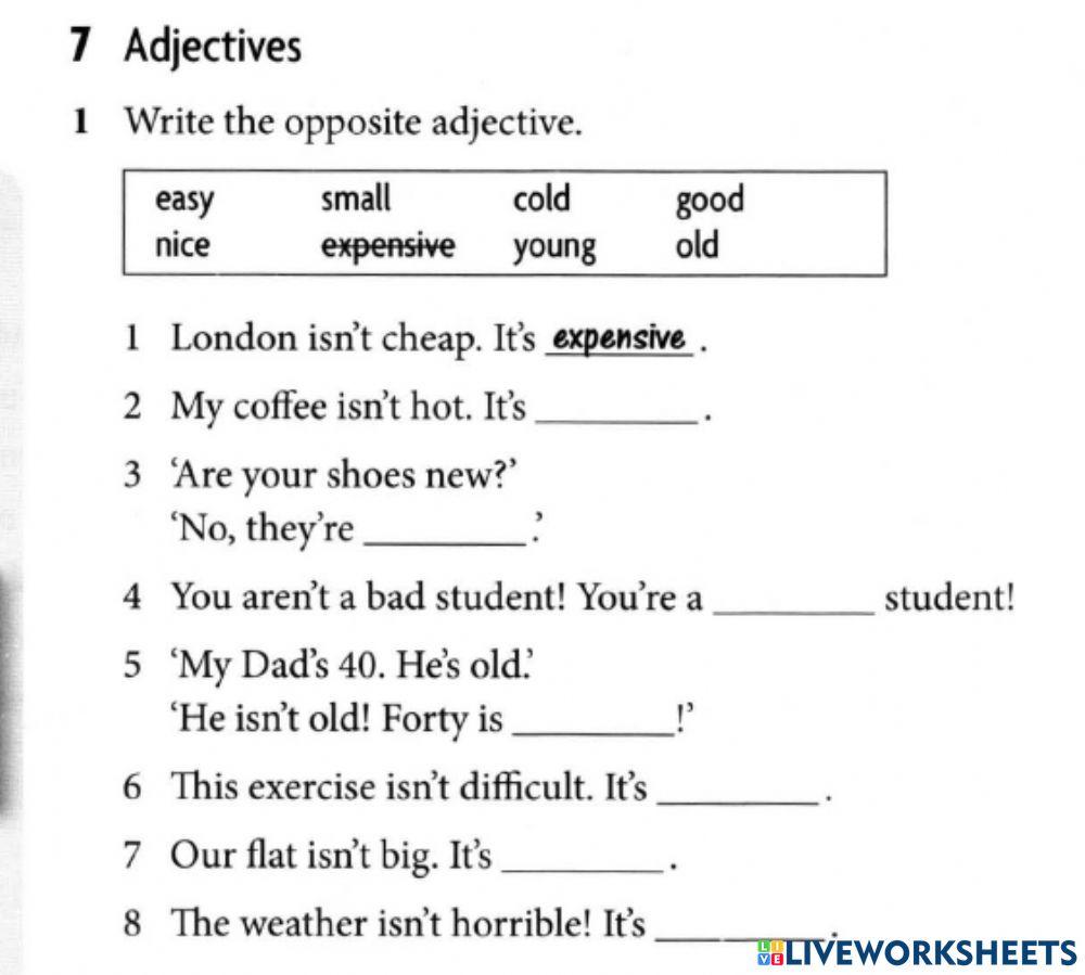 Opposites (adjectives)
