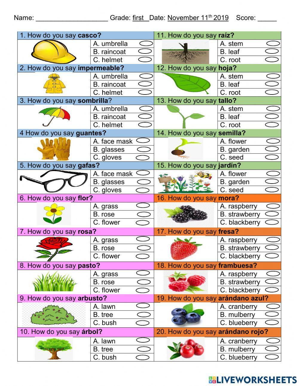 Icfes test-first grade-fourt period