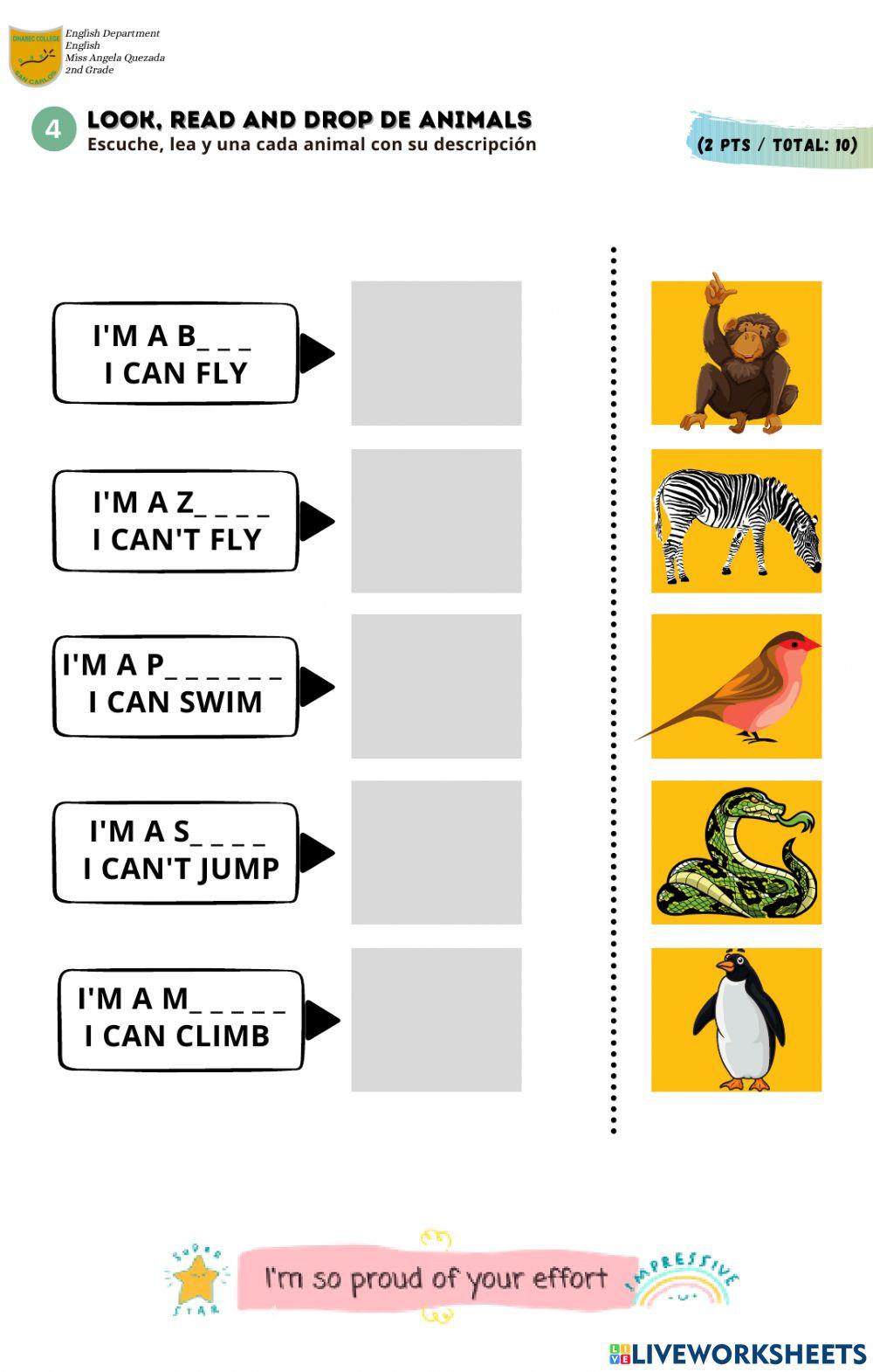 3rd Grade - English Test -Animals-