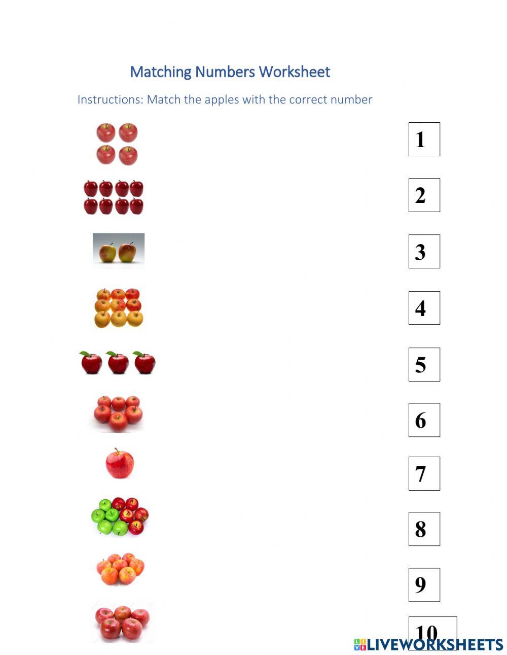 Matching Numbers Worksheet worksheet Live Worksheets