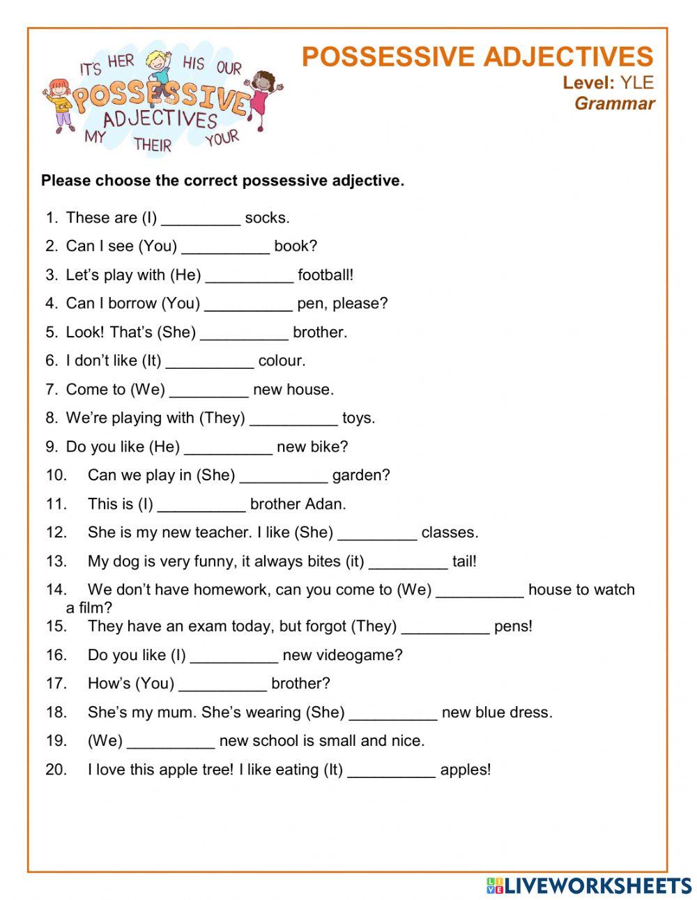 Possessive Adjectives - YLE