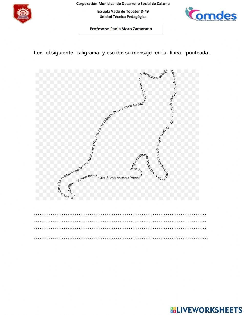 Bondi, comprensión lectora