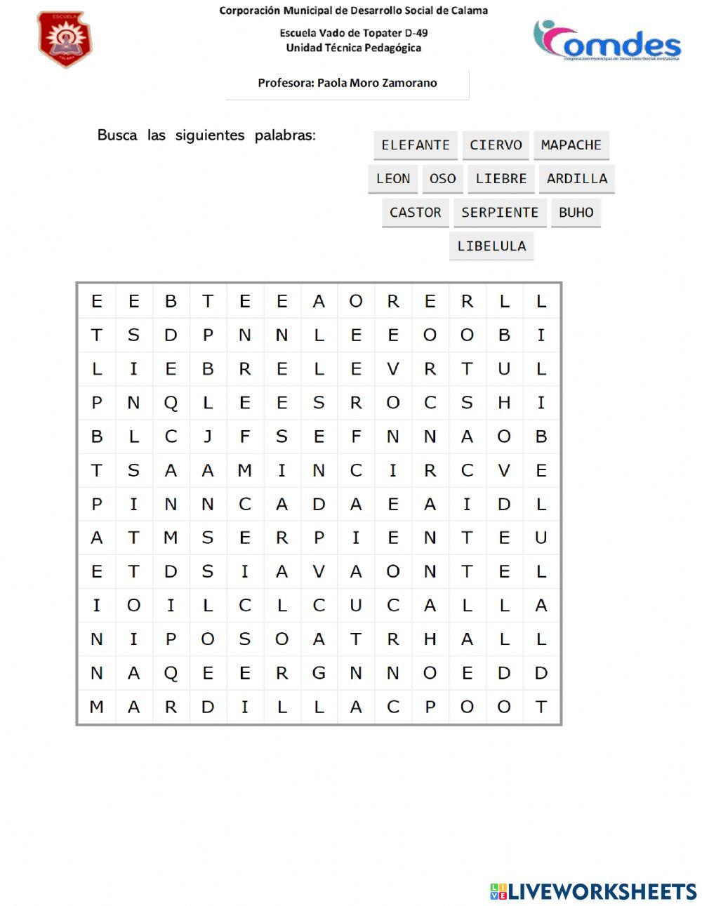 Bondi, comprensión lectora