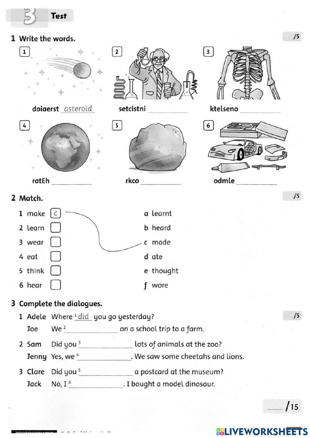 Test 3. The Dinosaus Museum