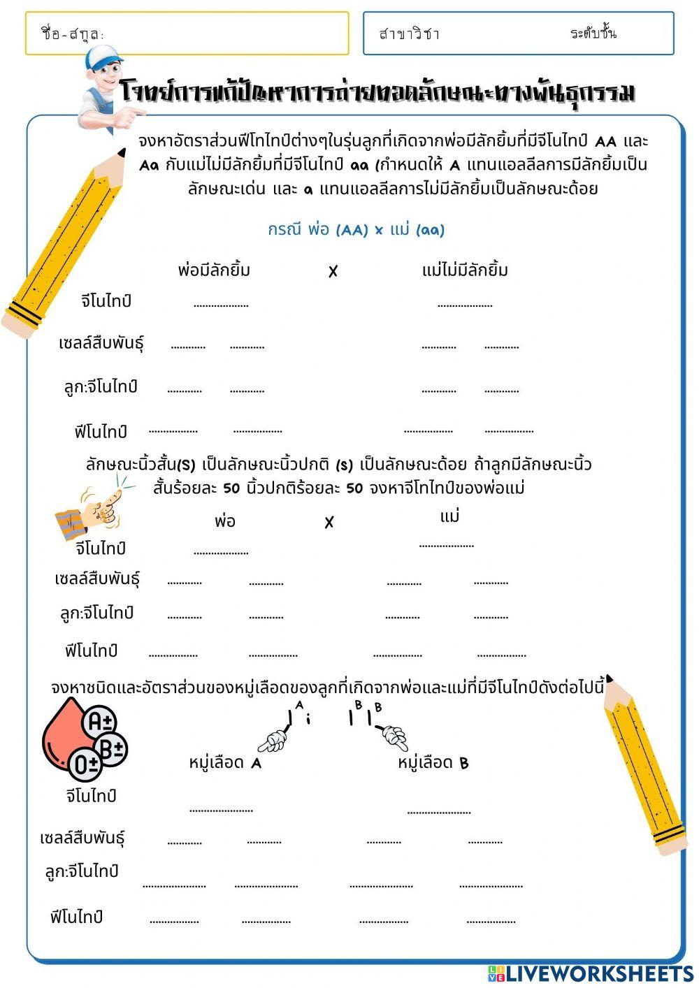 แบบฝึกหัดการการแก้ปัญหาการถ่ายทอดลักษณะทางพันธุกรรม