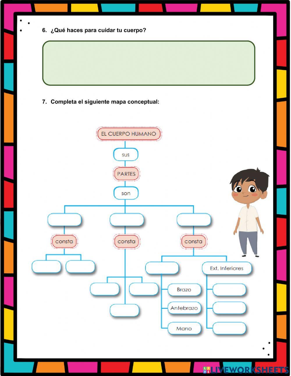 El cuerpo humano y sus partes
