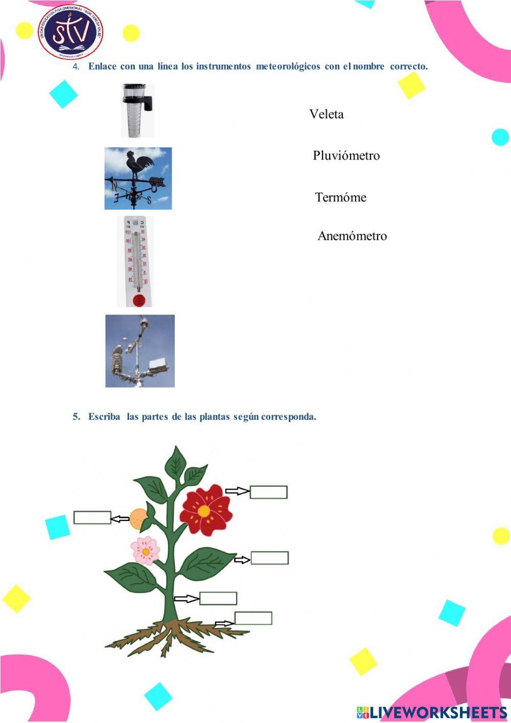 Animales vertebrados