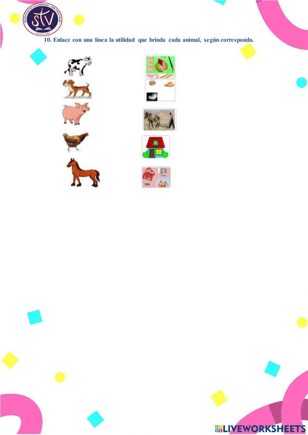 Animales vertebrados