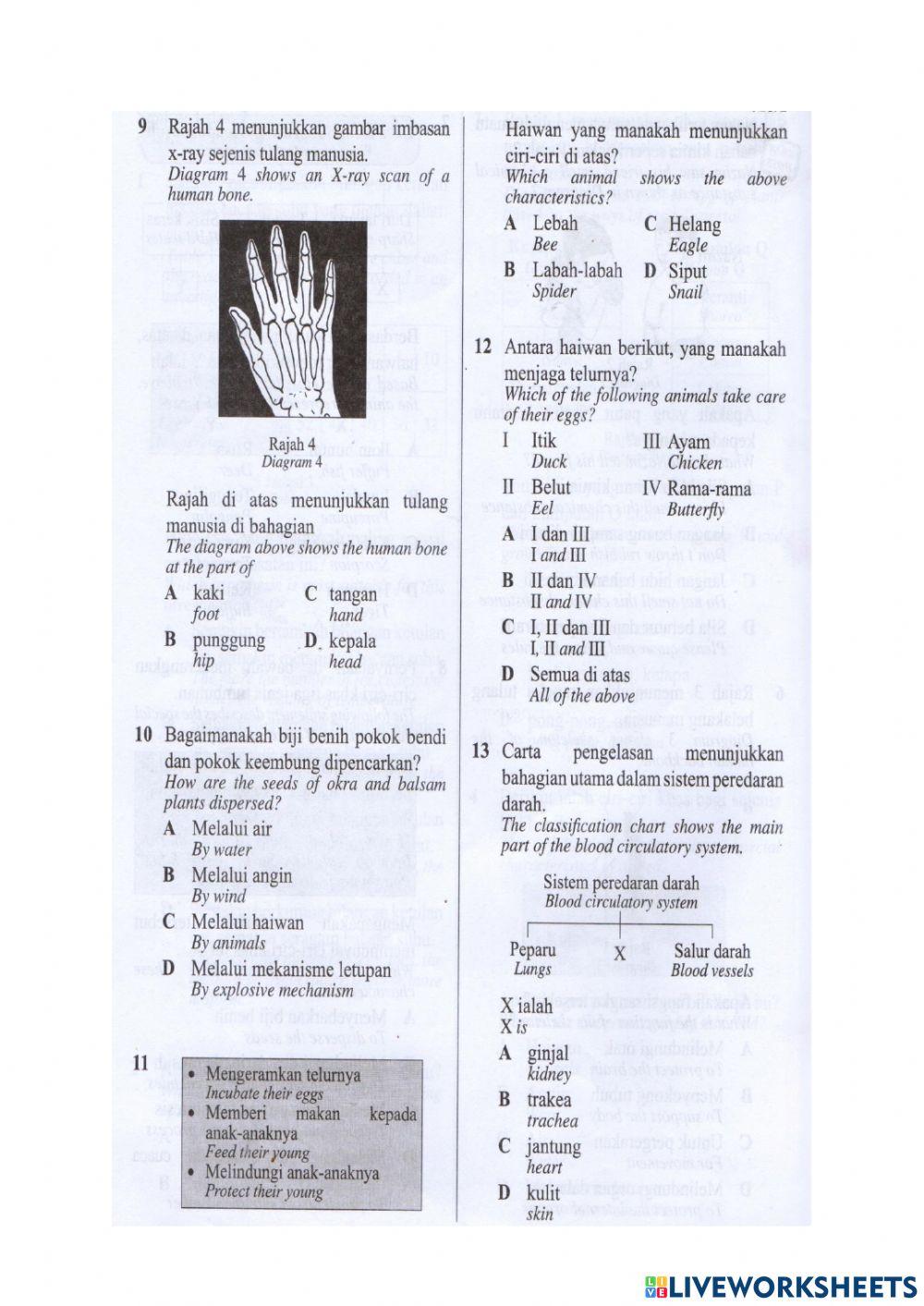 Revision science year 5 (1)